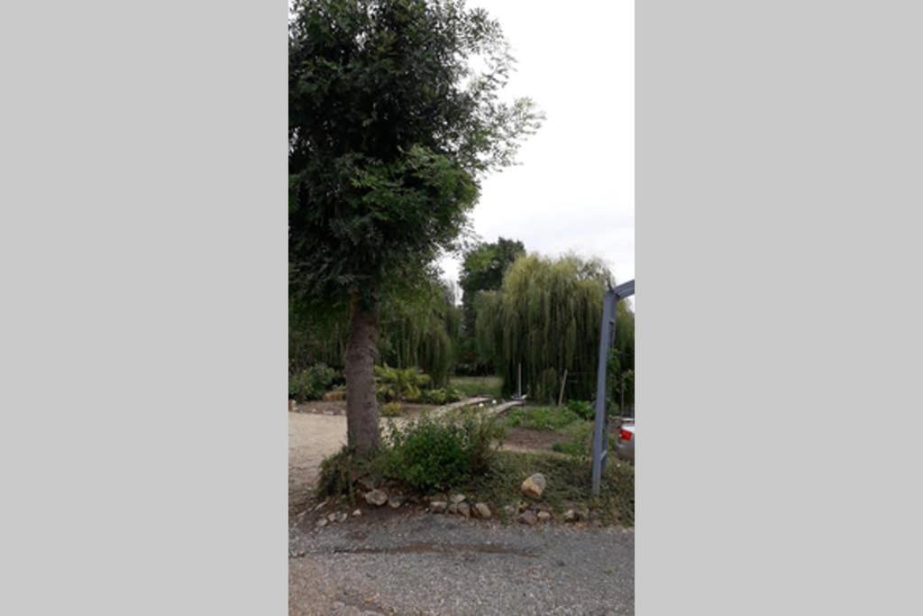 Entre Vignes Et Loire Appartamento Blaison-Saint-Sulpice Esterno foto