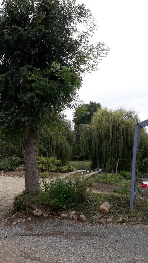 Entre Vignes Et Loire Appartamento Blaison-Saint-Sulpice Esterno foto